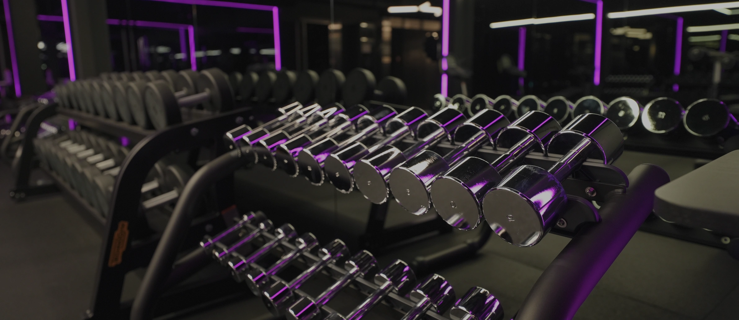 STRENGTH TRAINING ZONE photo