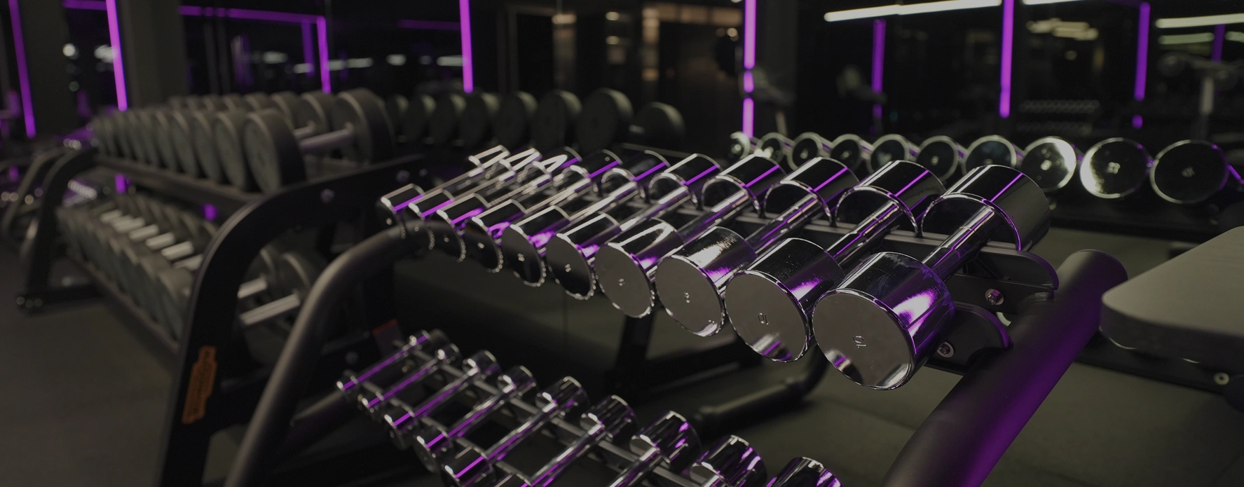 Зона силових тренувань photo